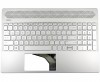 Tastatura HP L24755-031 Argintie cu Palmrest Argintiu iluminata backlit. Keyboard HP L24755-031 Argintie cu Palmrest Argintiu. Tastaturi laptop HP L24755-031 Argintie cu Palmrest Argintiu. Tastatura notebook HP L24755-031 Argintie cu Palmrest Argintiu